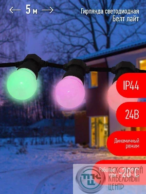 Гирлянда "Белт Лайт" 5м 10LED шаг 50см мультиколор 24В каучуковая изоляция IP44 динамич.режим с контроллером и трансформ. ЭРА Б0047956