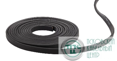 Кабель Белт-лайт ERABL-K100 IP65 2 жил. 2х1.5кв.мм каучук медь 220В черн. (бухта 100м) Эра Б0049175