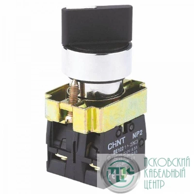 Переключатель NP2-BD21 2 полож. с фиксацией 1НО IP40 CHINT 574847