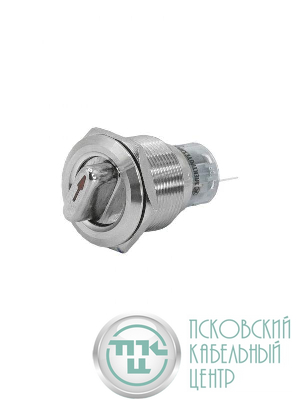 Переключатель GQ22-L-11X/21/S IP65 1НО+1НЗ на 2 положения с фиксацией I-II d22мм метал. Электротехник ET259208