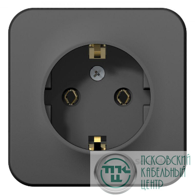 Розетка 1-м ОП Blanca 16А IP20 250В с заземл. без защ. шторок с изолир. пластиной антрацит SE BLNRA010116