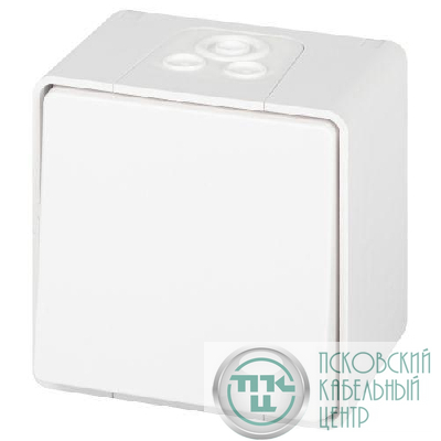 Выключатель Эксперт 11-1501-01 IP55 10АХ-250В ОУ бел. Эра Б0063250