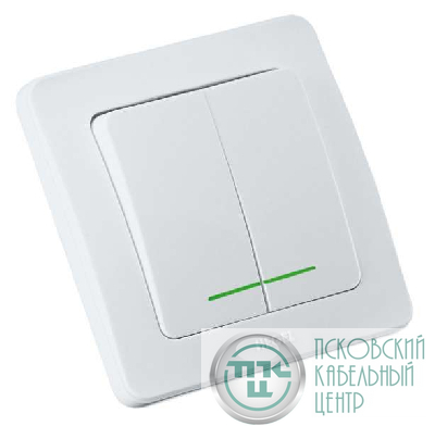Выключатель 2-кл. СП Мастер 10А IP20 250В с индикацией бел. HEGEL ВС10-352