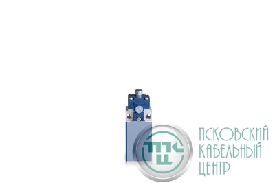 Выключатель концевой с фиксацией быстрого переключения линейный 1-но направленный с пластмас. консолью и стальным плунжером (1НО+1НЗ) EMAS L5K13PUM211R