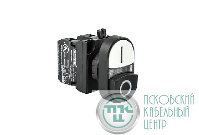Кнопка сдвоенная выступающая (1НО+1НЗ) (CP) черн./бел. EMAS CP102K21HB