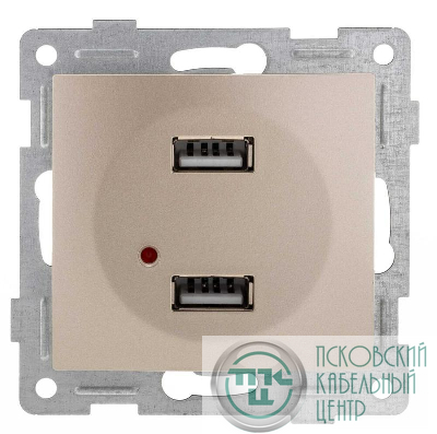 Механизм розетки USB 2-местн. СП Bravo шампань GUSI С10USB2-027