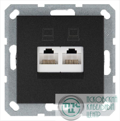 Розетка компьютерная 2-м RJ45 IP20 кат. 5E механизм антрацит Jasmart G6106B