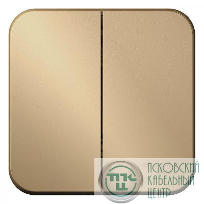 Выключатель 2-кл. ОП Blanca 10А IP20 (сх. 5) 250В с изолир. пластиной титан SE BLNVA105014