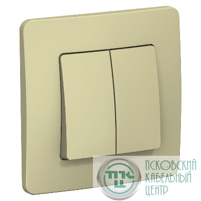 Выключатель 2-кл. СП Blanca 10А IP20 (сх. 5) 250В беж. SE BLNVS010507