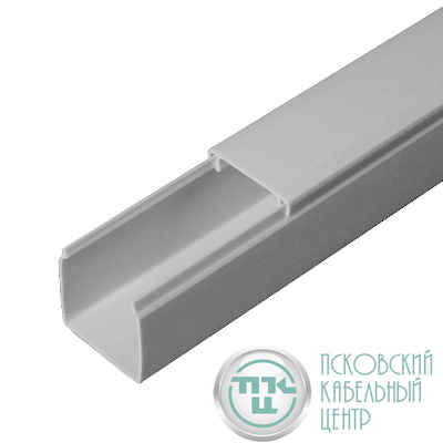 Кабель-канал 25х25 L2000 с двойн. замком RAL 7035 сер. Промрукав PR03.0073