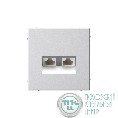 Розетка компьютерная 2-м ArtGallery RJ45 + RJ45 кат.5E механизм алюм. SE GAL000385