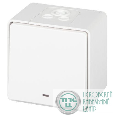 Переключатель Эксперт 11-1507-01 с подсветкой IP55 10АХ-250В ОУ бел. Эра Б0063255