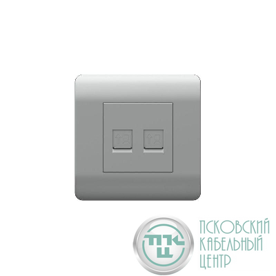 Розетка компьютерная 2-м NEW3-E RJ45 серебр. CHINT 431456