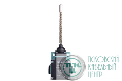 Выключатель концевой быстрого переключения многонаправленный с пластмас. консолью и стальной пружиной и наконечником (1НО+1НЗ) EMAS L2K13SOM102