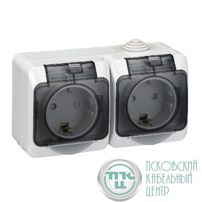 Розетка 2-м ОП Этюд 16А IP44 250В с заземл. защ. шторки с крышкой сер. SE PA16-244C