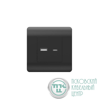 Розетка USB NEW3-E тип A+C 5В/2.1А черн. CHINT 431501