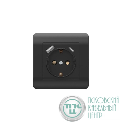 Розетка NEW3-E 16А с заземл. защ. шторки с 2-мя заряд. устройствами USB A+C 5В/2.1А черн. CHINT 431502