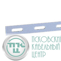 Полоса перфорированная ППц20 L2000 2мм оцинк. ASD-electric EI-05.02.61.001