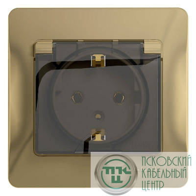 Розетка 1-м СП Glossa 16А IP20 с заземл. защ. шторки с крышкой в сборе титан SchE GSL000446