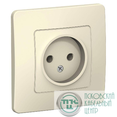 Розетка 1-м СП Blanca 16А IP20 250В без заземл. без защ. шторок молоч. SE BLNRS000012