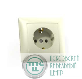 Розетка 1-м СП Селена РС16-370 16А IP20 с заземл. сл. кость Кунцево 8146