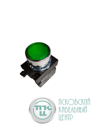 Кнопка нажимная круглая CM101DY (2НО) зел. EMAS CM101DY