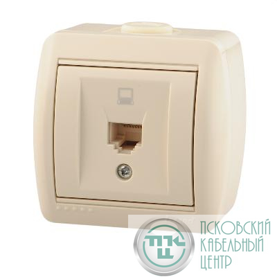 Розетка компьютерная 1-м ОП Nata RJ45 16А IP20 крем. LEZARD 710-0300-139