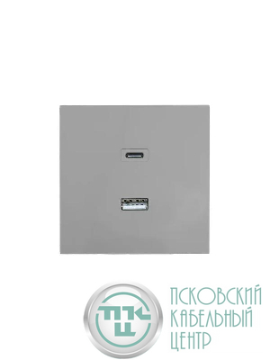 Розетка Type-C+ USB разъем СП ZIMA IP20 сер. матов. LEZARD 704-7488-192TC