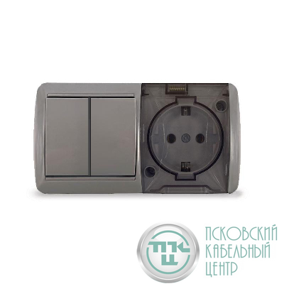 Блок ОП Клио 2-кл. выкл. 10А + розетка 1-м 16А 250В с заземл. с прозр. крышкой сер. Universal К2239-Gr