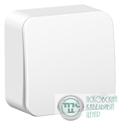 Выключатель 1-кл. ОП Blanca 6А IP20 (сх. 1) 250В с металлич. пластиной бел. SE BLNVA061021