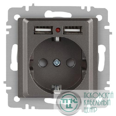 Розетка 1-м СП Accent 6-410-09 16А IP20 250В P+E Schuko + 2хUSB защ. шторки титан Intro Б0063711