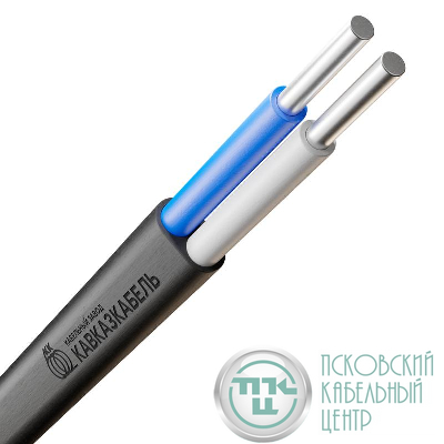 Кабель АВВГ-Пнг(А)-LS 2х6 ОК (N) 0.66кВ (м) Кавказкабель 22010300148