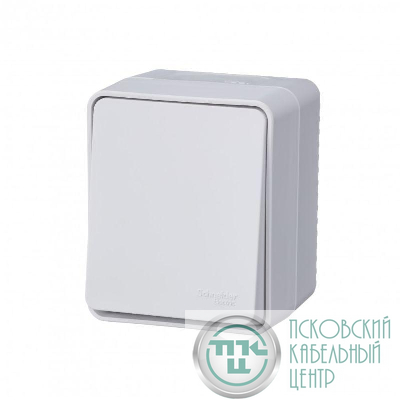 Переключатель проходной 1-кл. ОП AtlasDesign PROFI IP54 10AX бел. SE ATN540161