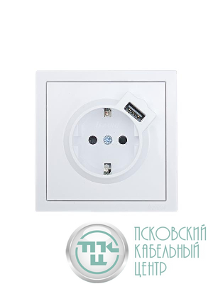 Розетка 1-м ZIMA IP20 + USB с заземл. механизм бел. LEZARD 704-0288-181