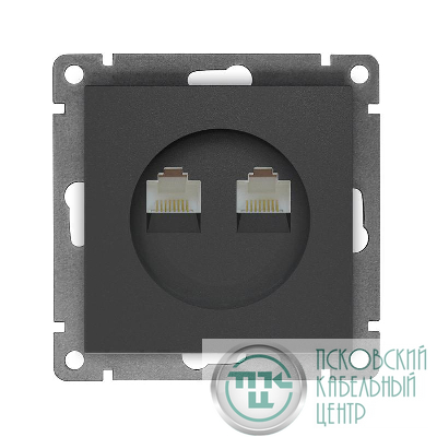 Розетка компьютерная 2-м СП Афина RJ45 кат.5E механизм графит Universal A1086-Gr