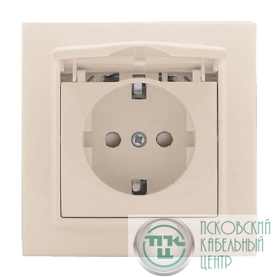 Розетка 1-м СП Минск 16А IP20 с заземл. защ. шторки с крышкой беж. EKF ERR16-029-200