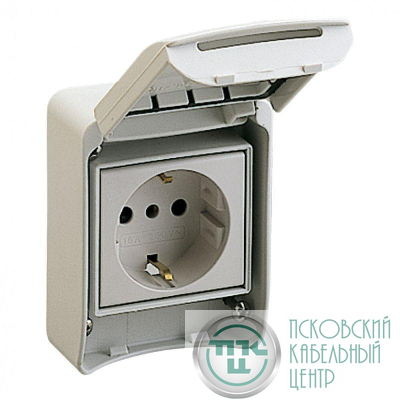 Розетка бытовая 16А 220В 2P+T для Kedra IP65 SchE 81141