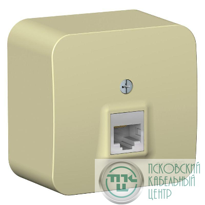 Розетка компьютерная 1-м ОП Blanca RJ45 кат.5E с изолир. пластиной беж. SE BLNIA045007