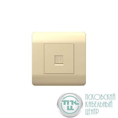 Розетка телефонная 1-м NEW3-E RJ11 шампань CHINT 431414