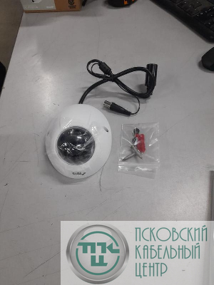 Камера 2 Мп плоская купольная IP с вариофокальным объективом и ИК-подсветкой
