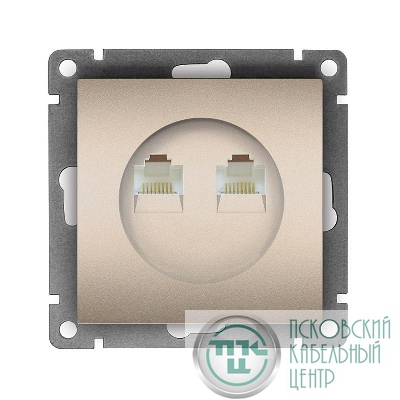 Розетка компьютерная 2-м СП Афина RJ45 кат.5E механизм шампань Universal A1086-Br