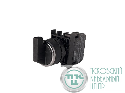 Переключатель 2-0-1 с фиксацией (1НО) EMAS B100S30