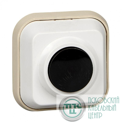 Выключатель кнопочный 0.4А 250В для электрозвонка DIY SE A1-04-011-I