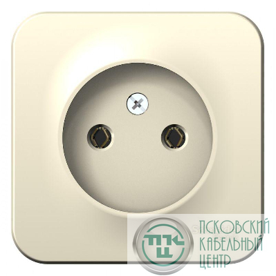 Розетка 1-м ОП Blanca 16А IP20 250В без заземл. без защ. шторок с изолир. пластиной молоч. SE BLNRA000112