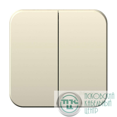 Выключатель 2-кл. ОП Blanca 10А IP20 (сх. 5) 250В с изолир. пластиной молочн. SE BLNVA105012