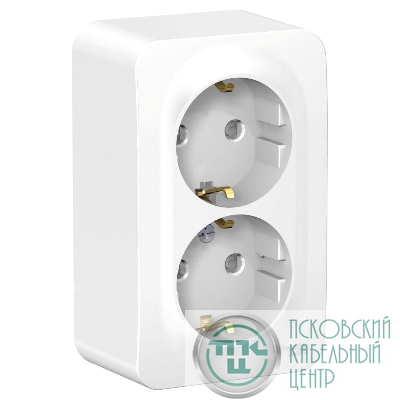 Розетка 2-м ОП Blanca 16А IP20 250В с заземл. защ. шторки с металлич. пластиной бел. SE BLNRA011221