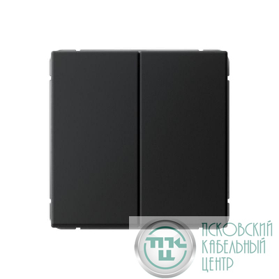Выключатель 2-кл. ArtGallery 10AX быстрозажим. клем. механизм карбон SE GAL001051S