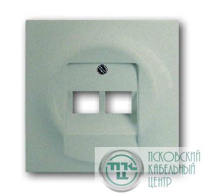 Накладка розетки компьютерной 2-м Impuls шампань-металлик ABB 2CKA001753A9038