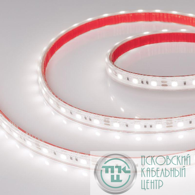 Лента светодиодная RTW-PS-B60-12mm 12V White 6000К 14.4Вт/м IP67 5060 герметичная (уп.5м) Arlight 022323(2)