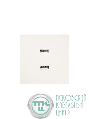 Розетка 2-мест. USB разъем СП ZIMA IP20 слон. кость LEZARD 704-9088-192